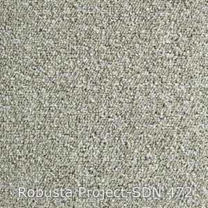 Interfloor Robusta Project SDN 472