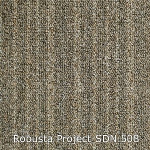 Interfloor Robusta Project SDN 508