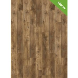 Gelasta Dryback Plak PVC Nevada 6002 Valley Oak Cinnamon