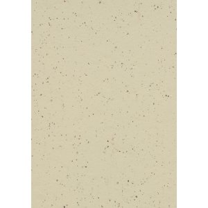 Forbo Marmoleum Cocoa 3584 White Chocolate Linoleum vloer