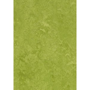 Forbo Marmoleum Fresco 3247 Green Linoleum vloer