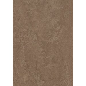 Forbo Marmoleum Fresco 3254 Clay Linoleum vloer