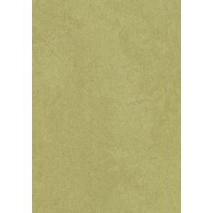 Forbo Marmoleum Fresco 3265 Avocado Linoleum vloer