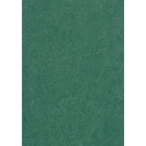 Forbo Marmoleum Fresco 3271 Hunter Green Linoleum vloer