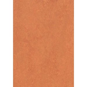 Forbo Marmoleum Fresco 3825 African Desert Linoleum vloer