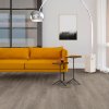 Vivafloors 8150 WPC PVC vloer