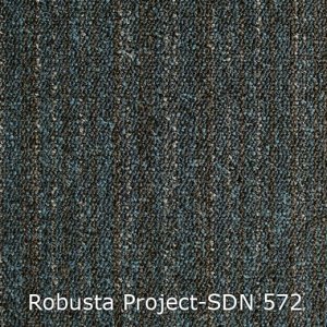 Interfloor Robusta Project SDN 572