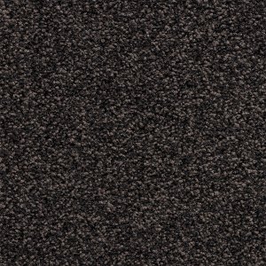 Interfloor Scarlatti Project-SDN 483