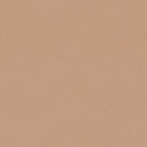Forbo Marmoleum Cocoa 3592 Salted Caramel Linoleum vloer