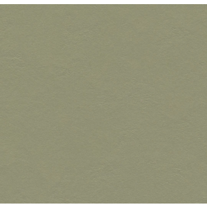 Forbo Marmoleum vtwonen VTW116 Nickel basic Vinyl