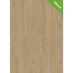 Gelasta Dryback Plak PVC Oakland 6100 Lime