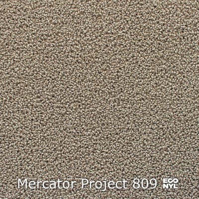 Interfloor Mercator Project Econyl 878