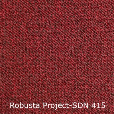 Interfloor Robusta Project SDN 415