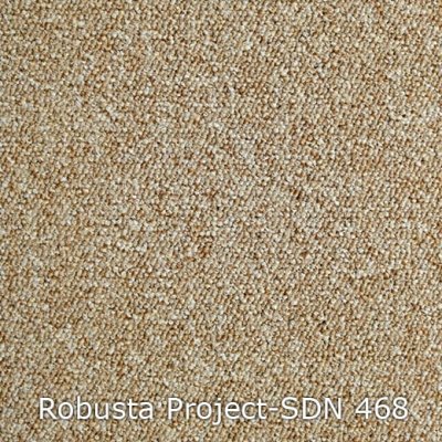 Interfloor Robusta Project SDN 468