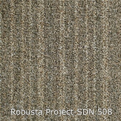 Interfloor Robusta Project SDN 508