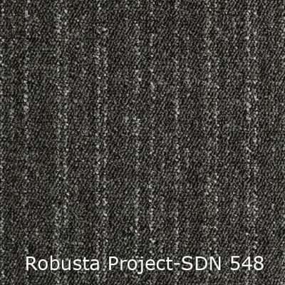 Interfloor Robusta Project SDN 548