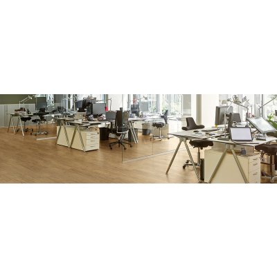 EXPONA CLIC 19dB 9028 Rice Wine Oak