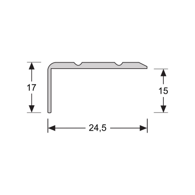 Hoeklijnprofiel Zilver 17 mm schroef